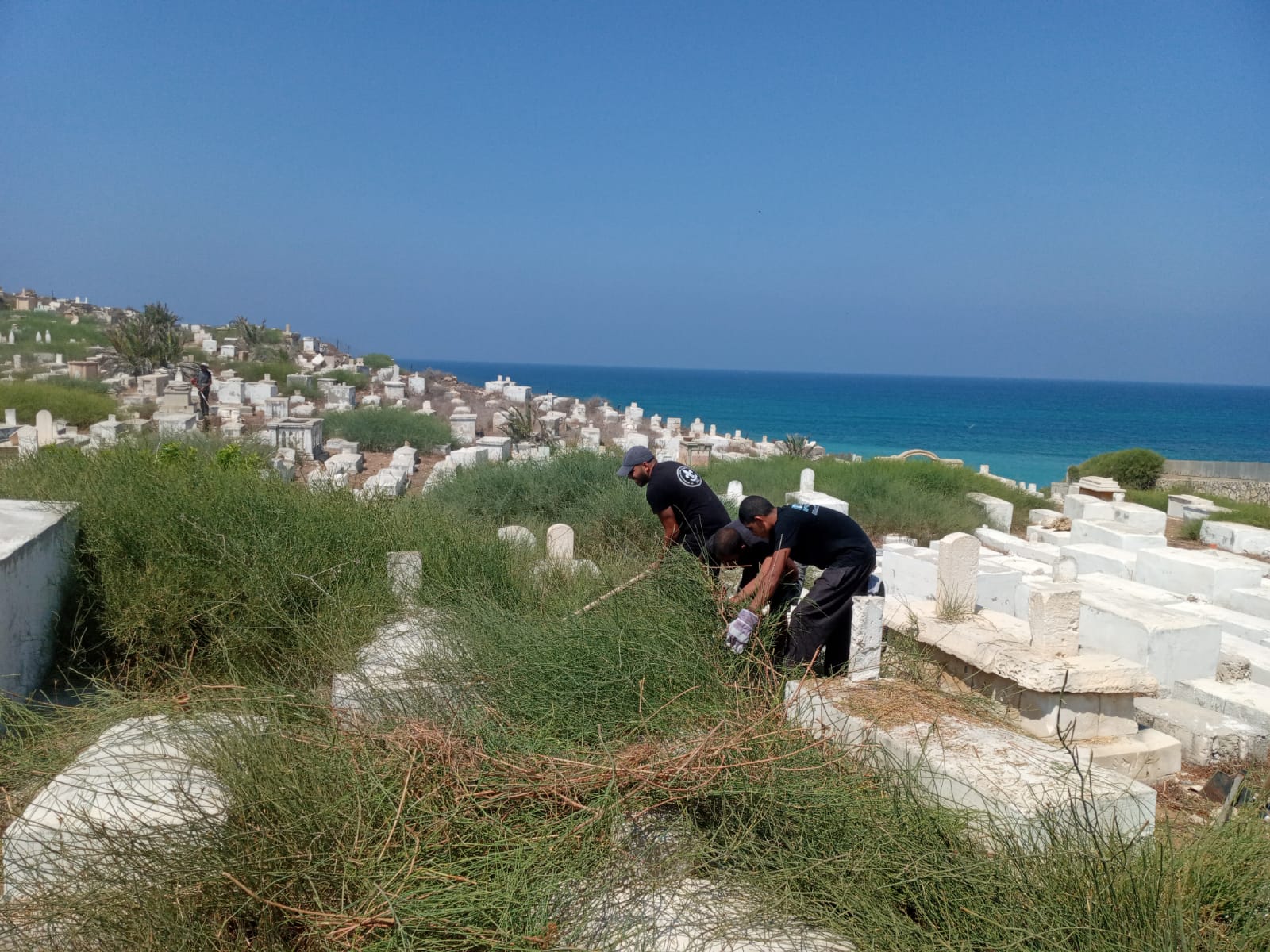 WhatsApp Image 2020-08-29 at 1.14.46 PM (2).jpeg.jpeg